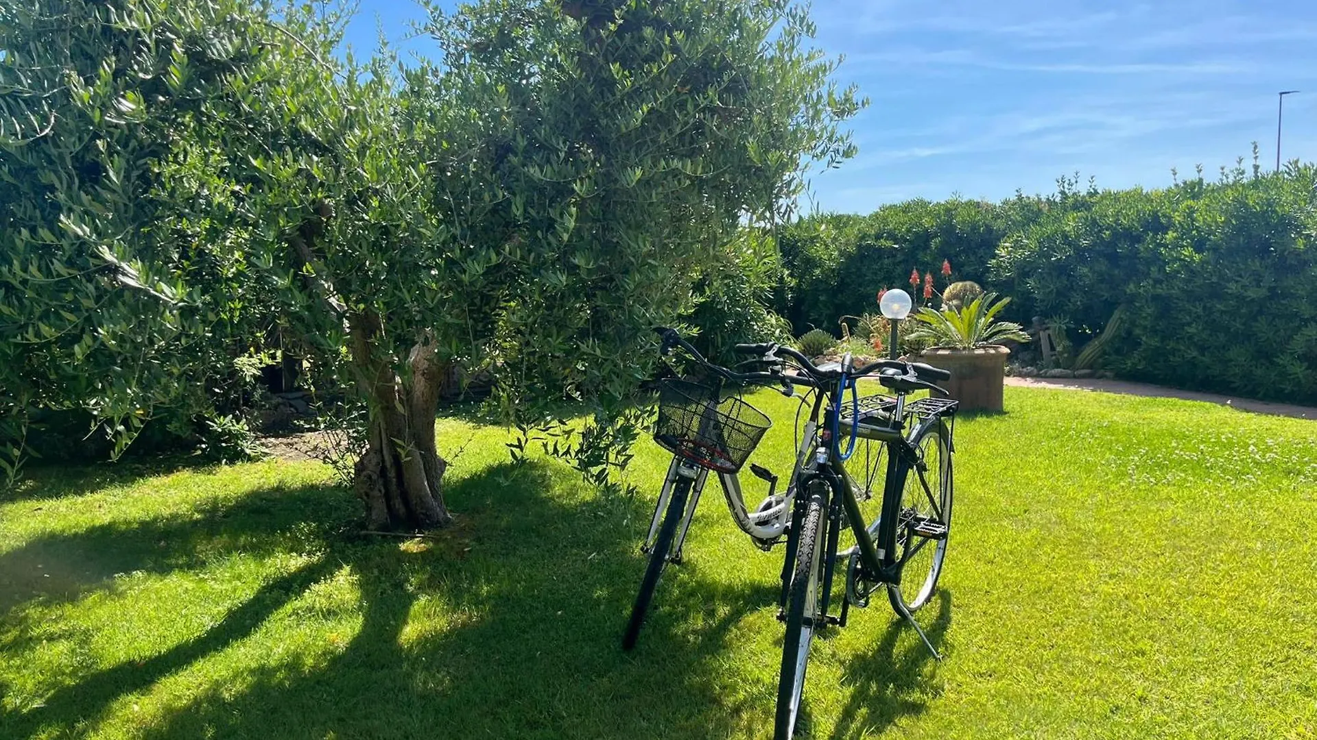 Il Giardino Sul Mare Villa Follonica 0*,  Italien